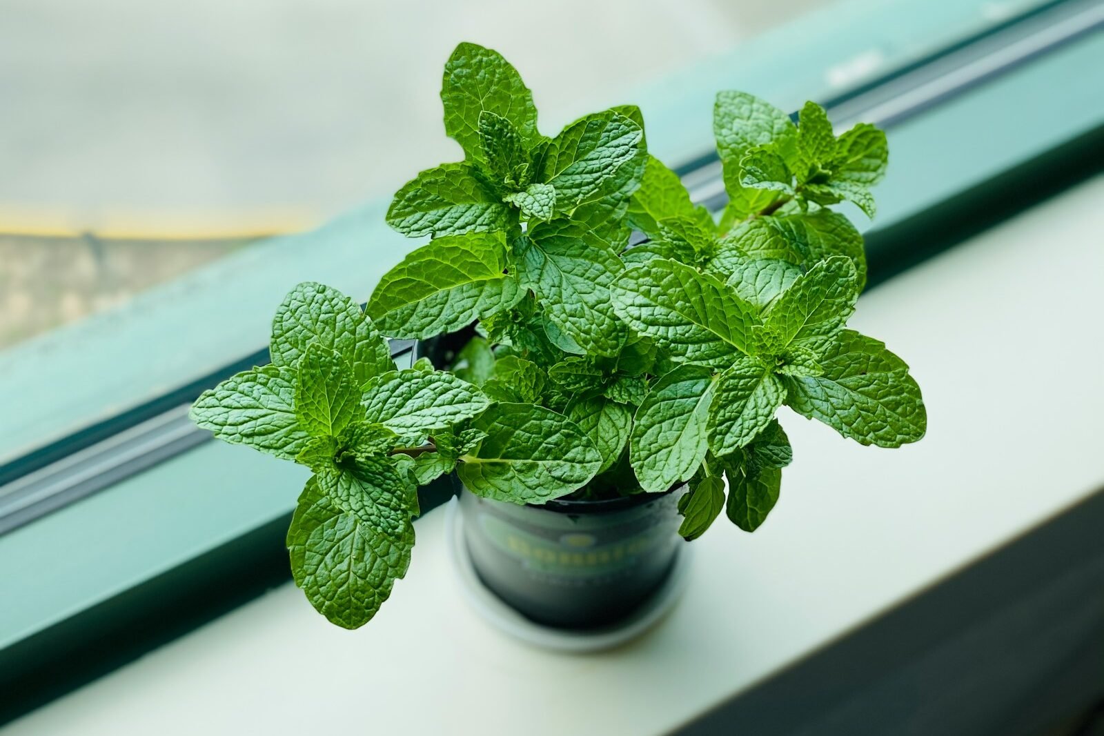 Qué Ofrecemos - Frutería en Barcelona